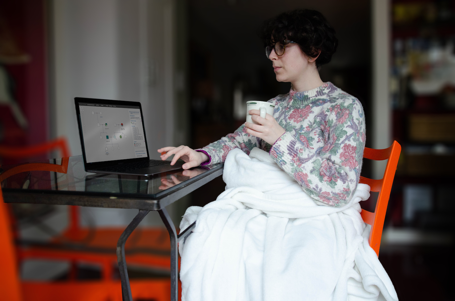 A woman is working on her laptop in her kitchen table with a mug in hand and a blanket over her legs. On the laptop screen, a pedigree is visible, and one hand rests on the mouse keyboard mid-action while drawing the pedigree.